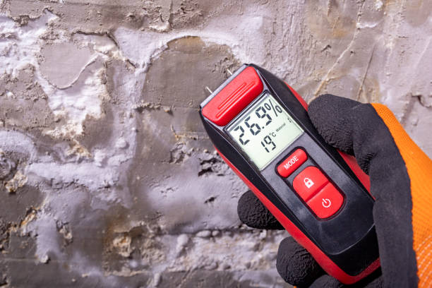 Best Commercial Mold Removal  in Loudoun Lley Estates, VA