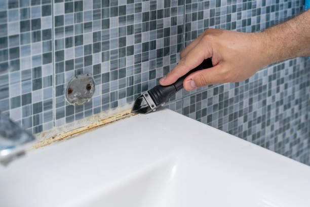 Best Mold Damage Repair  in Loudoun Lley Estates, VA